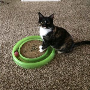 Meet your Posher, Karen